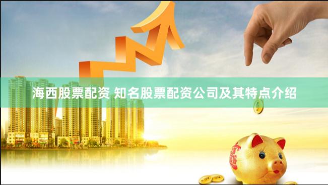 海西股票配资 知名股票配资公司及其特点介绍